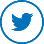 Twitter icon