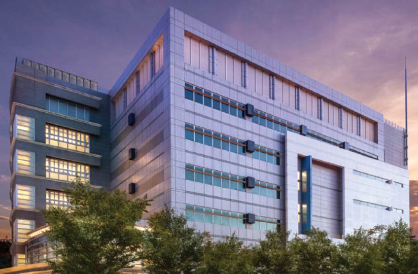 White building surrounded by trees